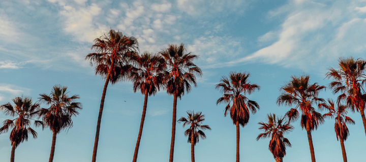 Eat, Sleep, Work...in Los Angeles